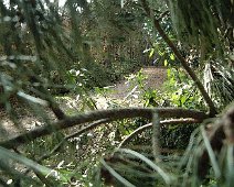 derwent path